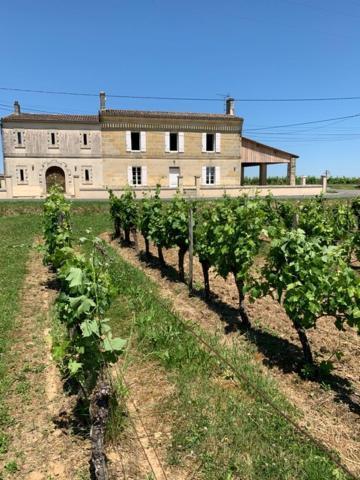 Vila Gite Du Chateau La Rose Des Vents Puisseguin Exteriér fotografie